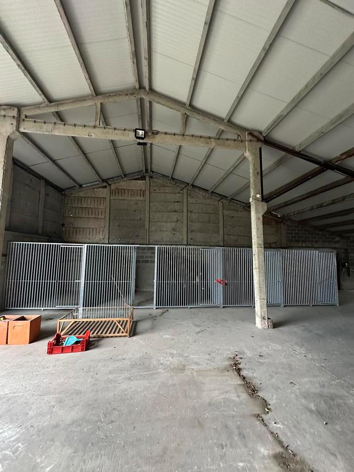 Vijf hondenrennen / dierenrennen gegalvaniseerd, Animaux & Accessoires, Maisons pour chiens, Comme neuf, Chenil chien, 100 cm ou plus