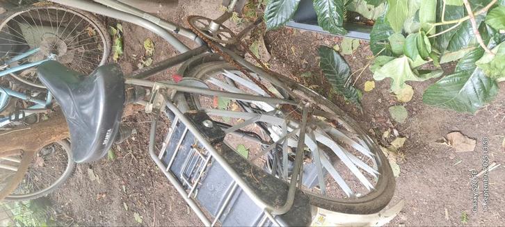 vélo cyclomoteur sachs sparta, Fietsen en Brommers, Brommers | Oldtimers, Sparta, Ophalen