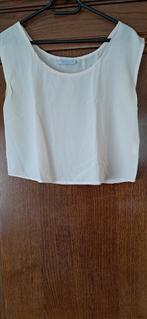 Topje in zijde, Kleding | Dames, Topjes, Ophalen of Verzenden, Zo goed als nieuw, Maat 38/40 (M)