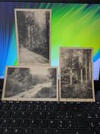 Foret de soignies, Ophalen of Verzenden, Ongelopen