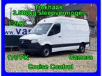 Mercedes-Benz Sprinter 317 34700+BTW Trekhaak 3500KG / Came, Monovolume, Start-stop-systeem, Wit, Bedrijf