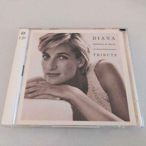 2CD Diana tribute Pop Rock Hits Queen U2 Tina Turner Enya, Cd's en Dvd's, Cd's | Pop, Zo goed als nieuw, Ophalen of Verzenden