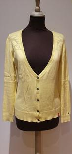 Zachtgele vest gilet katoen edc esprit maat s, Kleding | Dames, Geel, Ophalen of Verzenden, Zo goed als nieuw, Maat 36 (S)