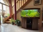 AQUARIUM JUWEL 260litres VISION, Dieren en Toebehoren, Ophalen, Zo goed als nieuw, Leeg aquarium