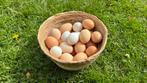 Verse BIO eieren - vrije uitloop, Dieren en Toebehoren, Ophalen of Verzenden, Zo goed als nieuw