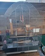 Mooie vogelkooi in niewe staat, Dieren en Toebehoren, Vogels | Hokken en Kooien, Ophalen, Zo goed als nieuw, Metaal, Vogelkooi