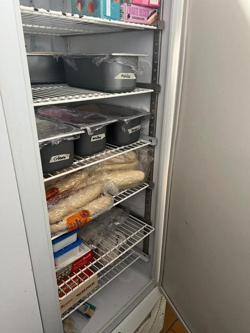 Grote staande diepvries 500 liter vrieskast vriezer Rekken k, Elektronische apparatuur, Vriezers en Diepvrieskisten, Gebruikt