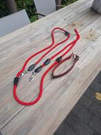 leiband voor hond, Dieren en Toebehoren, Ophalen, Gebruikt, Hondenriem-accessoire