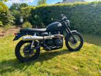 Triumph Scrambler 900 / 5600km, Particulier