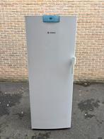 Diepvries Bosch no frost, Elektronische apparatuur, Vriezers en Diepvrieskisten, Ophalen, Zo goed als nieuw