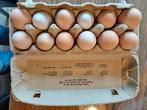 verse scharreleieren 2 euro voor 12 eieren, Ophalen