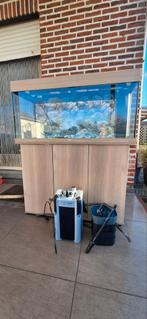 Aquarium juwel rio 180 l, Dieren en Toebehoren, Vissen | Aquaria en Toebehoren, Ophalen