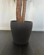 Bloempot Grijs, Overige materialen, Gebruikt, Rond, Binnen
