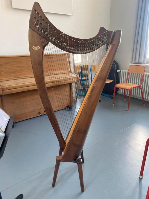 Salvi Heather 34 cordes - salvi heather harp 34 snaren, Muziek en Instrumenten, Snaarinstrumenten | Harpen, Ophalen