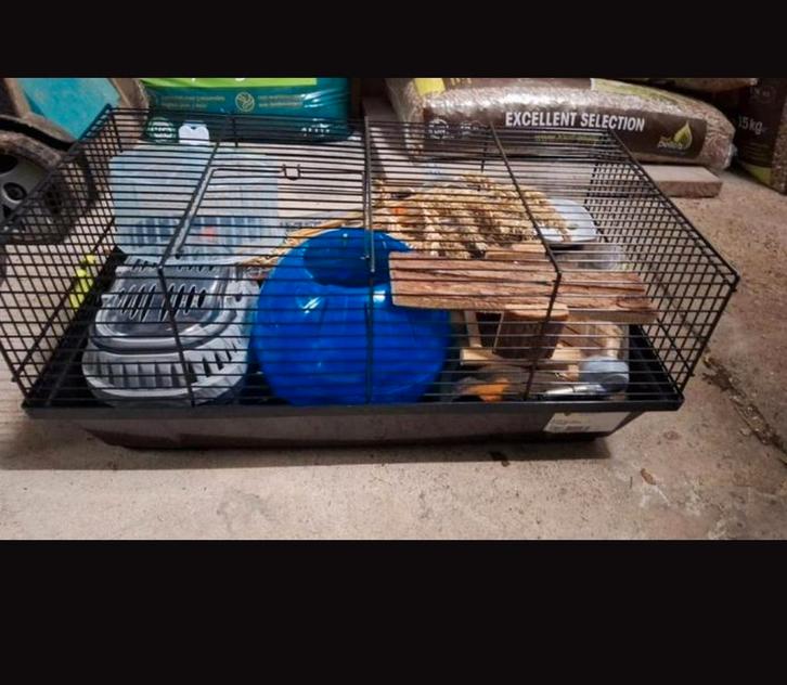 Hamster/muizen kooi met toebehoren (starterset), Dieren en Toebehoren, Knaagdieren en Konijnen | Hokken en Kooien, Kooi, Hamster