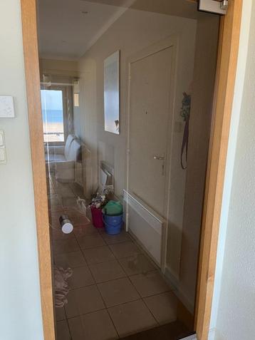 glazen deur 90 x 202 beschikbaar voor biedingen