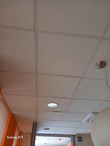 faux plafond beschikbaar voor biedingen