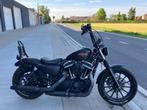 Harley Davidson sportster iron met leuke opties, 2 cilinders, Chopper, Bedrijf, 883 cc