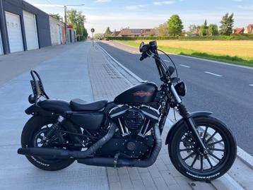 Harley Davidson sportster iron met leuke opties, Motoren, Motoren | Harley-Davidson, 2 cilinders, Chopper, Bedrijf, 883 cc