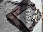 *** nieuw ***  sweater / hoodie maat large, Vêtements | Hommes, Enlèvement ou Envoi, Neuf, Taille 52/54 (L), Gris