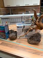 Aquarium 90l, Enlèvement, Comme neuf