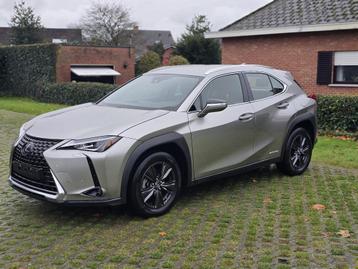 Lexus UX 250h UX Hybrid Business *NAVI beschikbaar voor biedingen