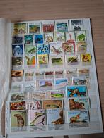 Postzegels slangen, Ophalen