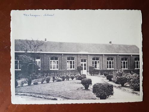 Postkaart Terhagen ( Rumst ) School Zusters Christelijke, Verzamelen, Postkaarten | België, Ongelopen, Antwerpen, 1940 tot 1960