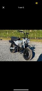 Honda dax 1979, Fietsen en Brommers, Brommers | Honda, Ophalen, Overige modellen, 72 cc, Klasse B (45 km/u)