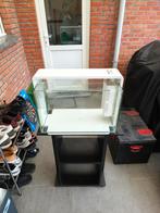 Leegstaand Superfish home 60 aquarium (incl toebehoren), Enlèvement