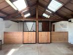 Stal met weide te huur in Veldegem!, Dieren en Toebehoren, Stalling en Weidegang