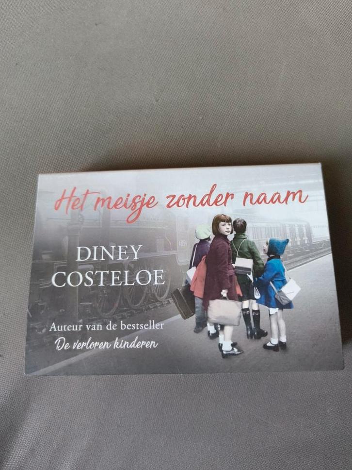 Diney Costeloe  Het meisje zonder naam, Boeken, Literatuur, Zo goed als nieuw, Ophalen of Verzenden