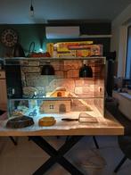 Terrarium in zeer goede staat! Met alle toebehoren 80x40x50, Animaux & Accessoires, Reptiles & Amphibiens | Accessoires, Enlèvement