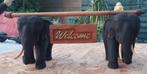 Uniek:1 set olifanten met welcome bord,Thai olifant boeddha, Zo goed als nieuw, Ophalen