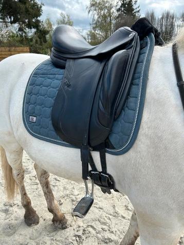 Selle de dressage CWD SE08  beschikbaar voor biedingen