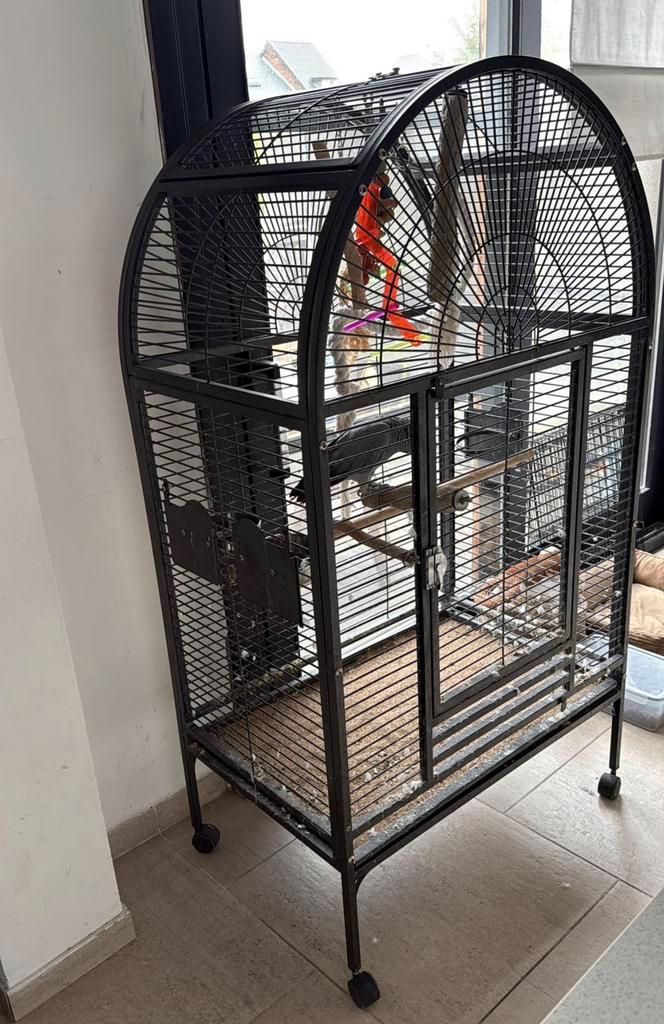 Cage à perroquet – bon état, Dieren en Toebehoren, Vogels | Hokken en Kooien, Zo goed als nieuw, Vogelkooi, Metaal, Ophalen