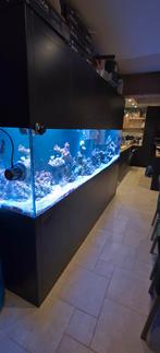 Aquarium 290x70x70, Dieren en Toebehoren, Vissen | Aquaria en Toebehoren, Ophalen, Gebruikt, Leeg aquarium
