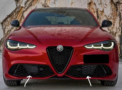 Grille roosters Alfa Romeo Giulia Veloce alle bouwjaren, Autos : Divers, Accessoires de voiture, Neuf, Envoi