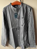 NIEUW, Grijs Shirt met Witte Strepen, Kleding | Heren, Overhemden, Nieuw, Grijs, Hollister, Halswijdte 39/40 (M)