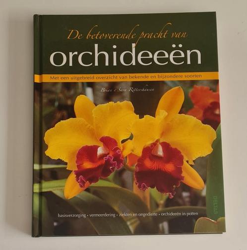 B. Rittershausen - De betoverende pracht van orchideeën, Livres, Maison & Jardinage, Neuf, Enlèvement ou Envoi