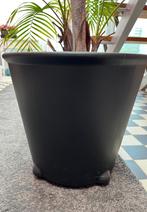 Grote bloempotten met waterreservoir; op wieltjes., Ophalen, Kunststof, Gebruikt, 40 cm of meer