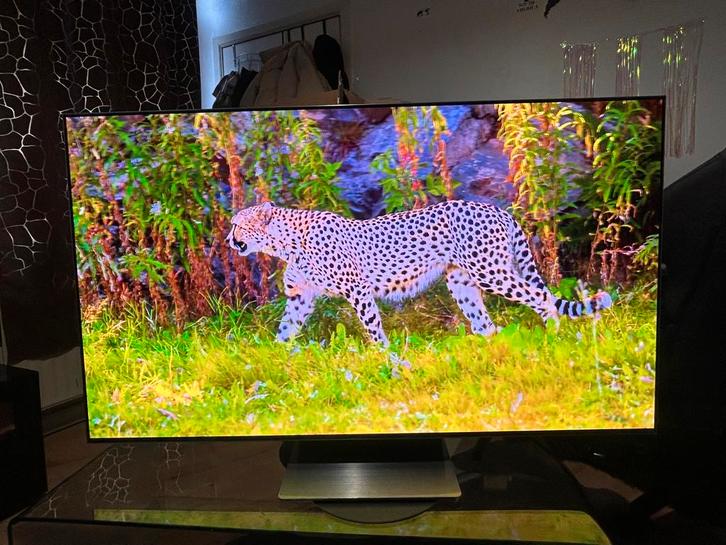 TV Samsung OLED 55 inch, Audio, Tv en Foto, Televisies, Zo goed als nieuw, OLED, 4k (UHD), Samsung, 120 Hz, Smart TV, Ophalen of Verzenden