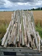 Les mauvais poteaux d’arbres fruitiers peuvent être collecté, Enlèvement, Utilisé, 180 à 250 cm, Poteaux