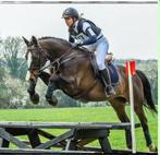 Goed leerpaard te koop, Dieren en Toebehoren, Paarden, Merrie, Springpaard, Gechipt, L