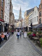 Chambre meublée avec s.d.b à louer- Bruxelles Grand-Place, Immo, Moins de 20 m², Bruxelles