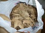 feuilles séchées de Sauge, Overige soorten, Volle zon, Vaste plant, Ophalen of Verzenden