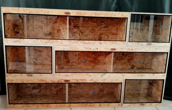 Osb3 terrarium RepHouSZ. Ook maatwerk, Animaux & Accessoires, Reptiles & Amphibiens | Accessoires, Neuf, Terrarium ou Paludarium