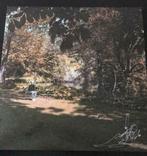 Spinvis - 7.6.9.6. - LP - GESIGNEERD, Cd's en Dvd's, Ophalen of Verzenden