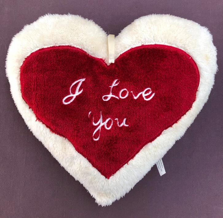 Valentijn Hart kussen, Maison & Meubles, Accessoires pour la Maison | Coussins, Neuf, Rouge, En forme de cœur, Enlèvement ou Envoi