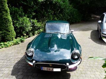 Oldtimer-voorouder beschikbaar voor biedingen